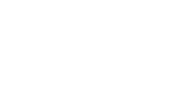 Inside Sales Solutions Logo Reversed